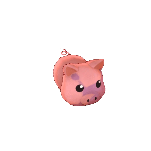 Pig