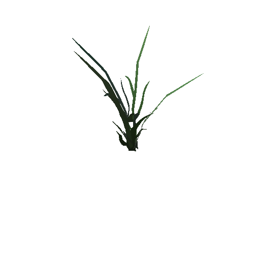 grass_01