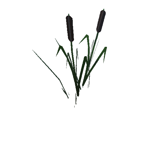 water_grass