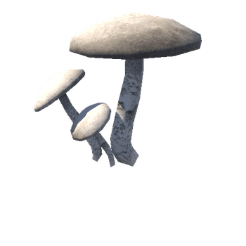 Assembly_Mushrooms_02