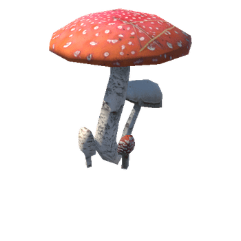 Assembly_Mushrooms_04