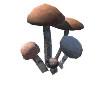 Assembly_Mushrooms_07