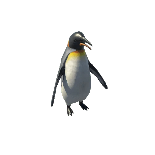 Penguin_RM_FV_LP