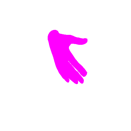 R_Hand