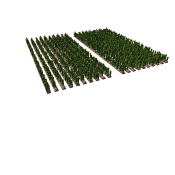 Farm_Wheat_2_1