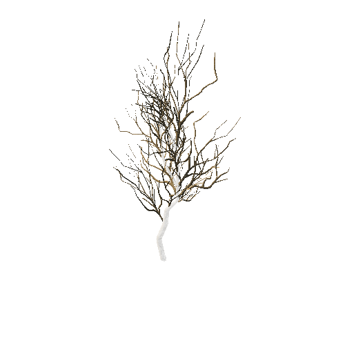 GenericTreeBushDWinter_afsTREE_xlod00_xlp