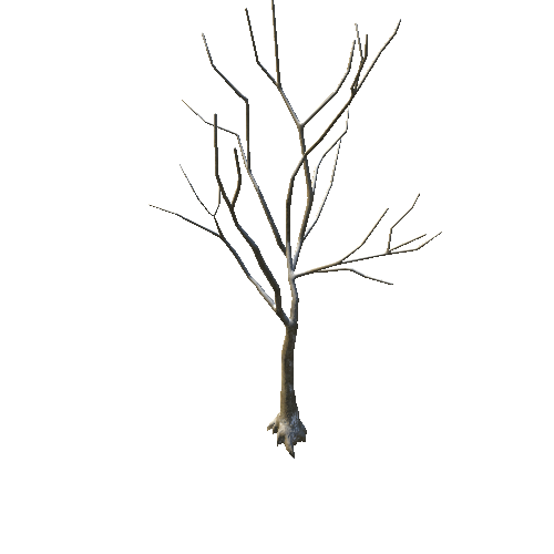 GenericTreeRHEA01_NoLeaves_Snoww