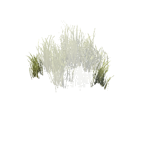 GrassASummer_ClumpC