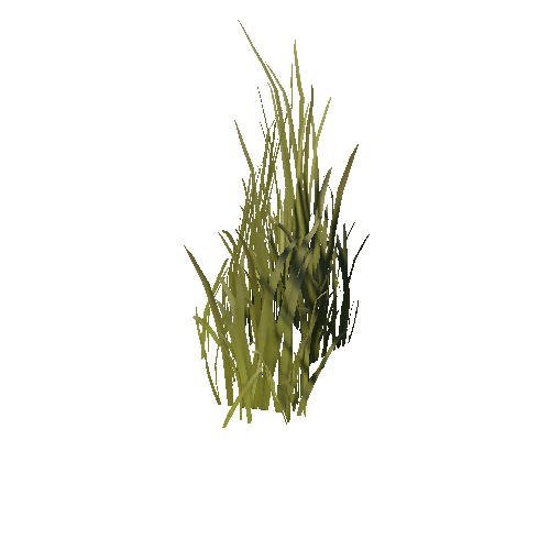 GrassTallC_root_afsTREE_xlp