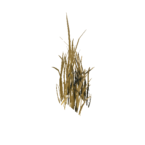 GrassTallFallD_root_afsTREE_xlp