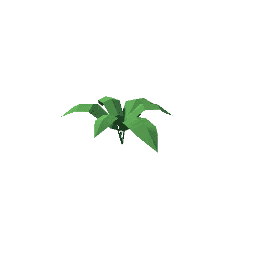 Plant2