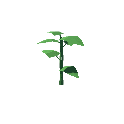 Plant6