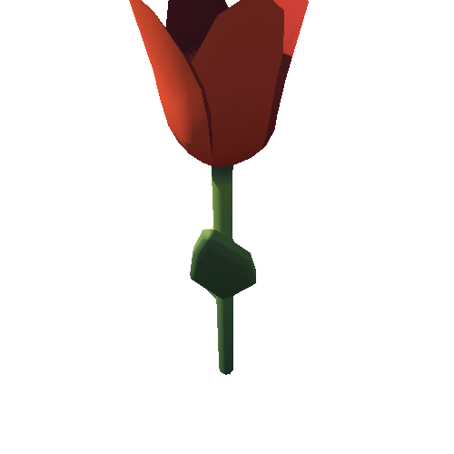 tulip_slim_red