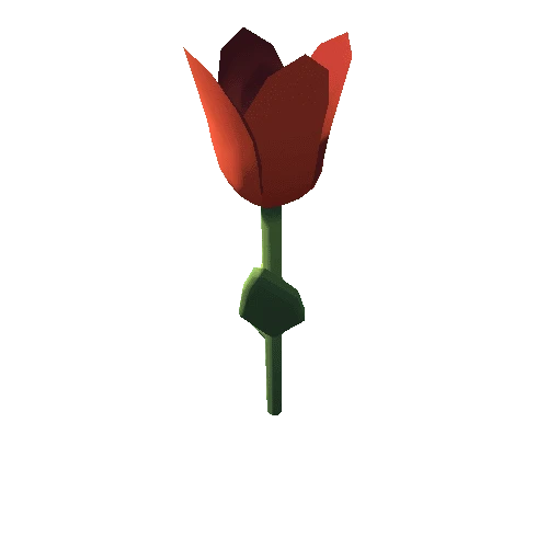 tulip_slim_red