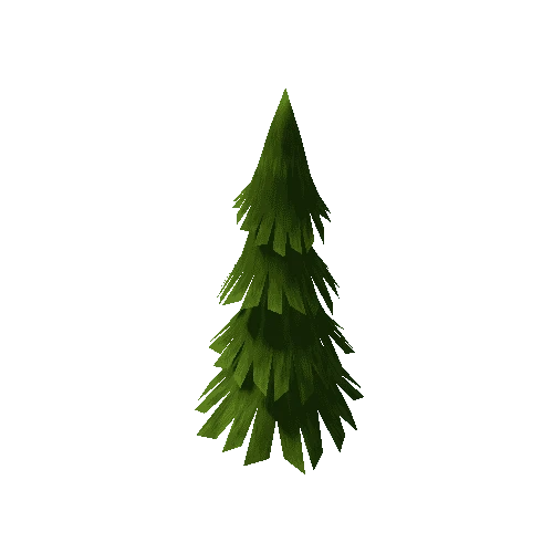 Conifer_Felled_Lo_1