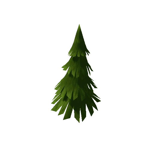 Conifer_Full_Lo_2