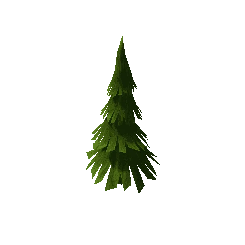 Conifer_Full_Lo_3