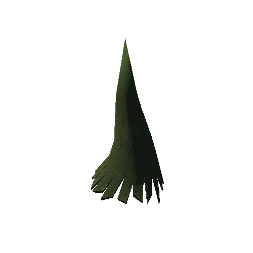 Conifer_SP_001