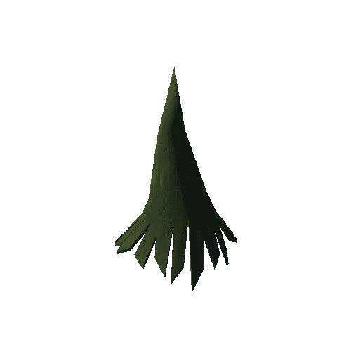 Conifer_SP_015