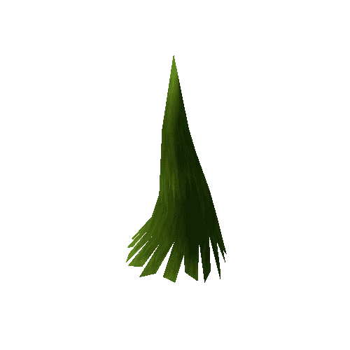 Conifer_SP_Lo_002