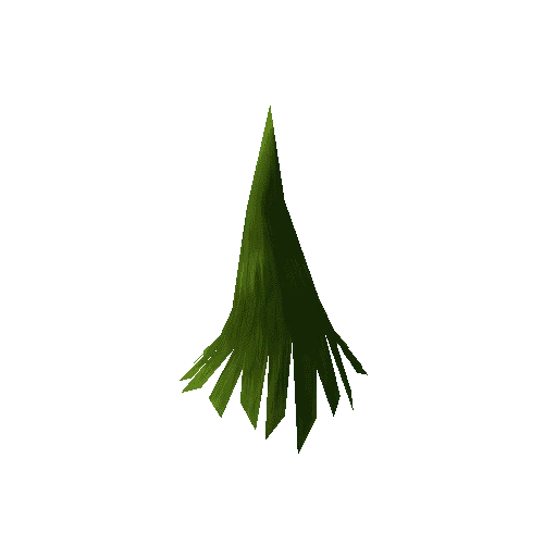 Conifer_SP_Lo_007