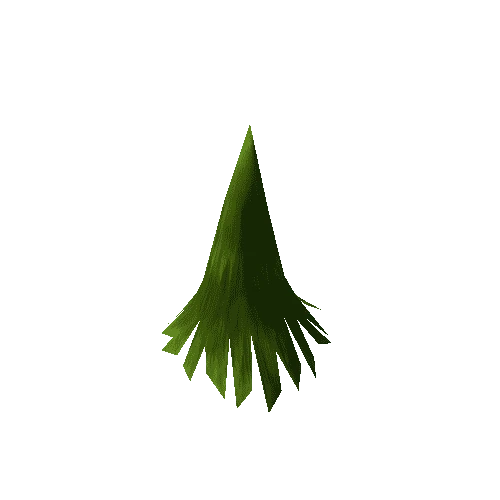 Conifer_SP_Lo_029