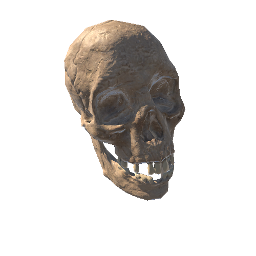 Skull01