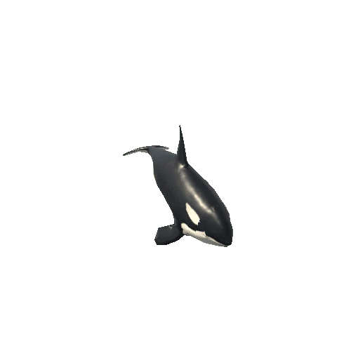 Killer_whale_SV_RM_SLP