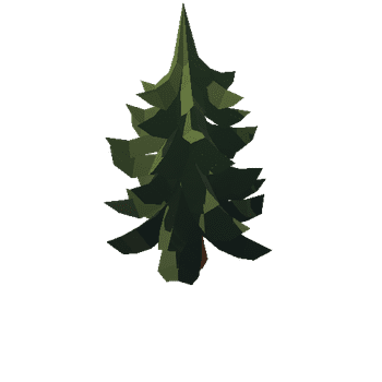 conifer_a