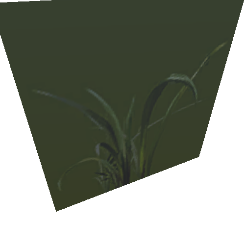 plants_k010