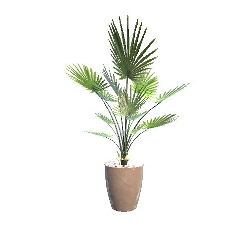 Plant01