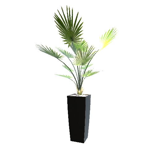 Plant02