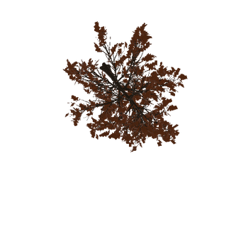 oaktree