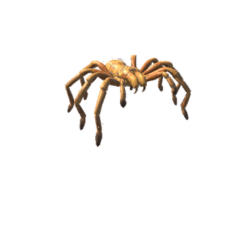 GoldTarantula