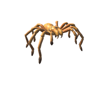 GoldTarantulaNoFur