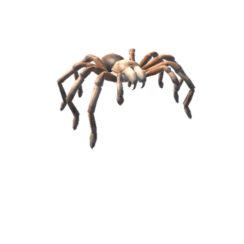 TarantulaNoFur_1