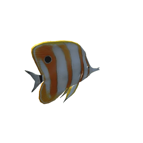 Butterfly_fish_prefab