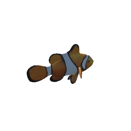 Clownfish_prefab