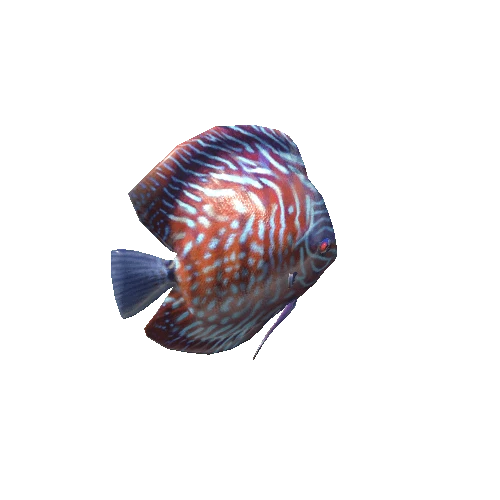 Discus_v3_prefab