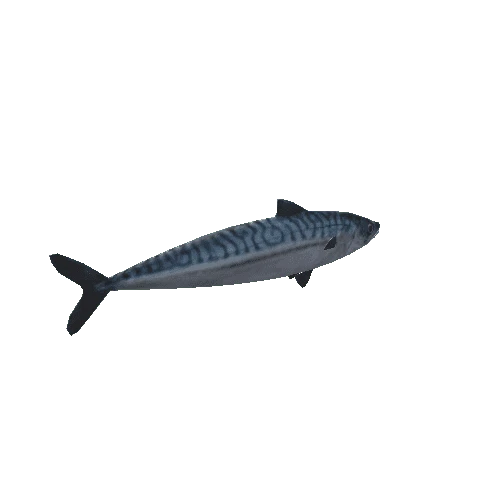 Mackerel_prefab