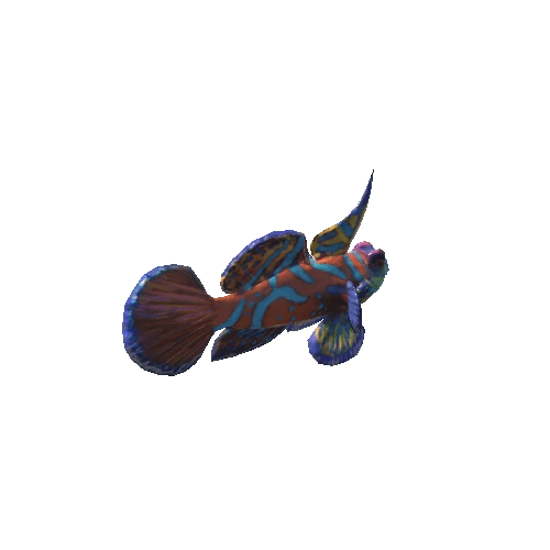 Mandarin_fish_v1_prefab