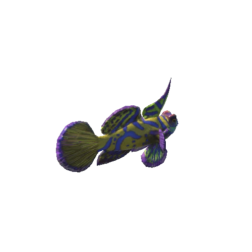 Mandarin_fish_v2_prefab