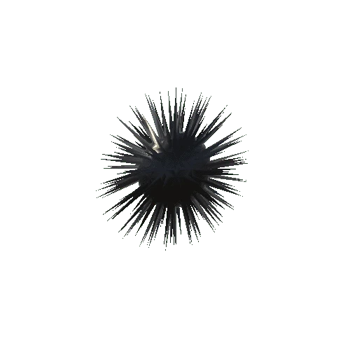 Sea_urchin_v1_prefab