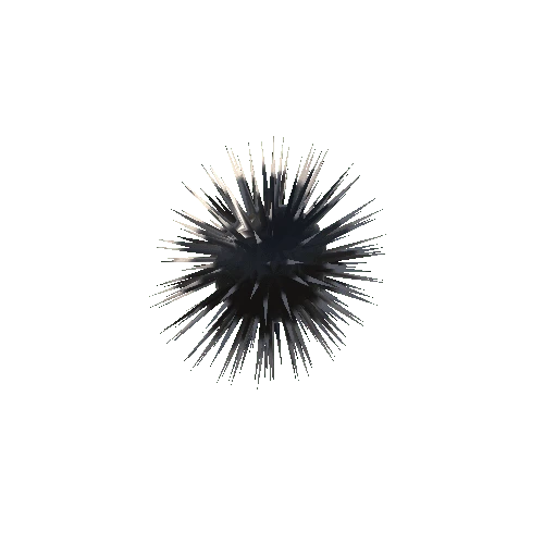 Sea_urchin_v2_prefab