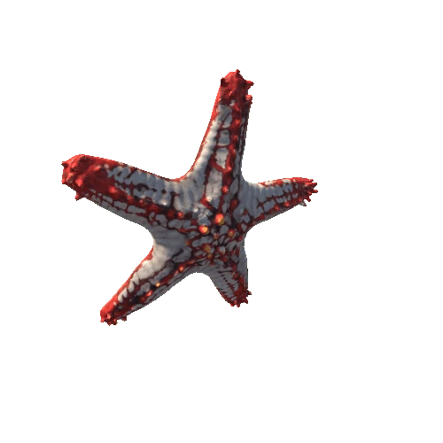 Starfish_v1_prefab