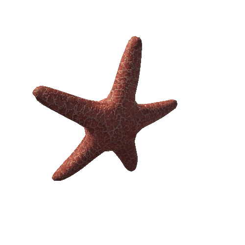 Starfish_v2_prefab