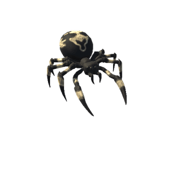 SpiderMonsterBlack