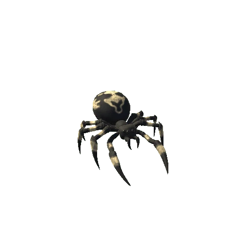 SpiderMonsterBlack