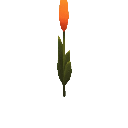 Flower_C01