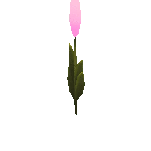 Flower_C07